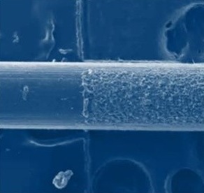 BioActive Scaffolding Suture under electron microscope