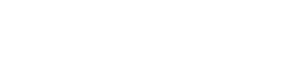 The Aesthetic Institute